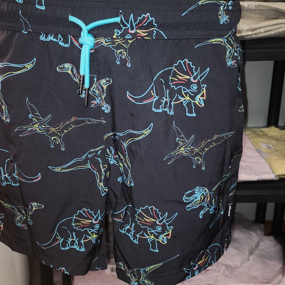 Dinosaur Print Swim Trunks for Men